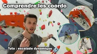 Miniature : Dyna et coordo, comment s'y prendre ? 🤔
