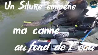 Miniature : un silure emmene ma canne au fond de l eau