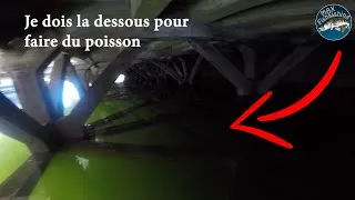 Miniature : je dois pécher sous les structures pour réussir a faire du Fish