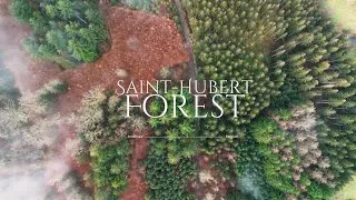 Miniature : Silent Hiking - 2 jours solo dans les Ardennes Belges