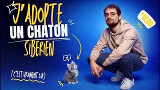 Miniature : J'adopte un CHATON SIBERIEN ! 🐱 (Son premier mois avec nous)