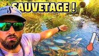 Miniature : Ils étaient bloqués dans cette prison végétale... Pêche de sauvetage sous la canicule !