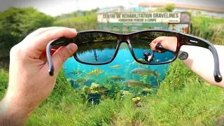 Miniature : Mon INDISPENSABLE à la pêche ! Une session de plaisir pour les yeux