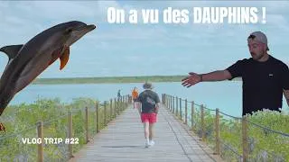 Miniature : RENCONTRE IMPROMPTUE à SIAN KA'AN ! Vlog Trip #22 - Yucatan Part 7