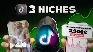 Miniature : Les 3 Meilleurs Niches Sur TikTok ( février 2026)