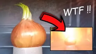 Miniature : Onion on Microwave ! Incredible 💥 !