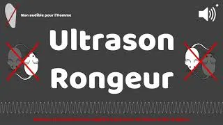 Miniature : Ultrasons pour contre rongeur et rats / souris