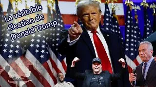 Miniature : La véritable élection de Donald Trump