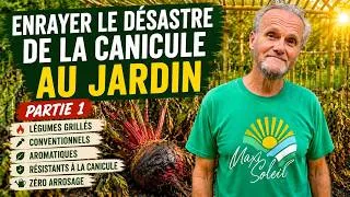 Miniature : Canicule : quels légumes survivent vraiment ? Sauver son potager(Partie 1)