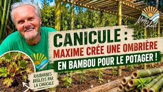 Miniature : Comment protéger son potager de la canicule ? Notre ombrière 100 % bambou