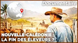 Miniature : Nouvelle-Calédonie : le combat des éleveurs de la brousse pour leurs terres - Documentaire