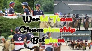 Miniature : WORLD TEAM CHAMPIONSHIP BELGIUM JOUR 3  Pony-Games: [PMG TV]
