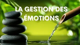 Miniature : La gestion des émotions