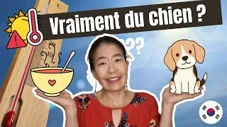 Miniature : CANICULE : que mangent les Coréens pendant l'été ? Une soupe bouillante ?!