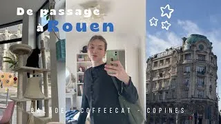 Miniature : One day vlog : de passage à Rouen