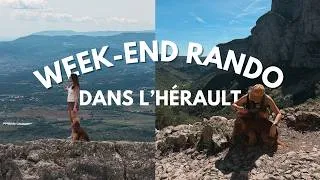 Miniature : JE TESTE 2 RANDONNÉES DOG-FRIENDLY DANS L'HERAULT AVEC ALPI