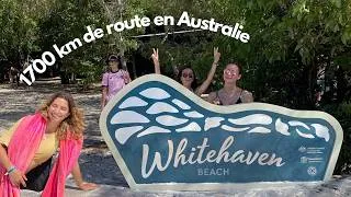 Miniature : on a fait le road trip de nos rêves en Australie (côte est pt.1) | Mayventures ep.4