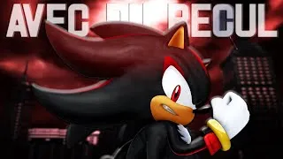 Miniature : Shadow The Hedgehog  : Le Jeu PARADOXAL (Avec Du Recul)