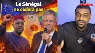 Miniature : Ousmane Sonko – Pascal Boniface, le débat ! | Pourquoi veulent-ils boycotter le Sénégal ?