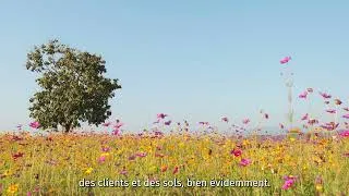Miniature : Podcast sur l'écologie : La production de fleurs locales