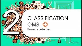 Miniature : Syndromes Lymphoprolifératifs : Comprendre l’Essentiel en 5 Minutes ! 🩸🧬