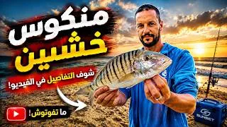 Miniature : 2ème journée Compétition de Pêche en Surfcasting - Coupe Triton - Hammamet 2026
