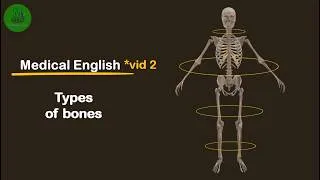 Miniature : Human Skeleton 101 | Types of Bones Explained : MEDICAL ENGLISH * 02