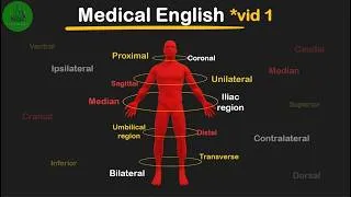 Miniature : MEDICAL ENGLISH * 01 : Anatomical directional terms and abdominal location