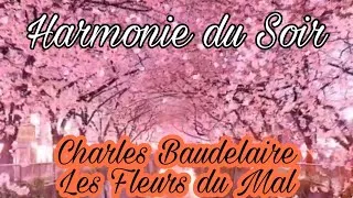 Miniature : Harmonie du soir _Charles Baudelaire _Média Littérature
