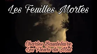 Miniature : Les feuilles mortes_Charles Baudelaire_Média Littérature