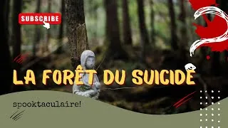 Miniature : LA FORÊT D'AOKIGAHARA - MediaMystere
