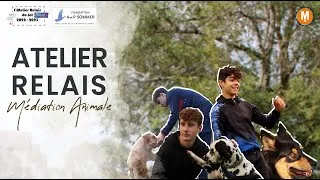 Miniature : DÉCOUVERTE !! Médiation animale au Domaine d'Auzole | MEDIA 46