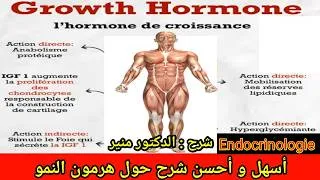 Miniature : Hormone de croissance : GH || Anatomie du système endocrinien شرح
