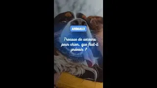 Miniature : Trousse de secours pour chien, que faut-il prévoir ? 🐕