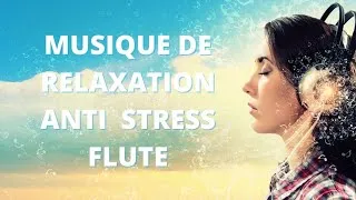 Miniature : 🎵  Musique Relaxante Anti Stress Flute | Relaxation et Calme