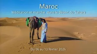 Miniature : La magie du désert en HD - Aperçu de la retraite dans le désert du Sahara - Février 2026