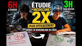 Miniature : La procrastination n'est pas de la paresse - comment pirater ton cerveau pour étudier
