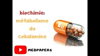Miniature : biochimie: métabolisme du cobalamine