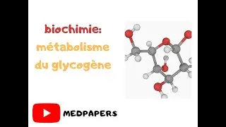 Miniature : biochimie: métabolisme du glycogène ( version son plus claire)