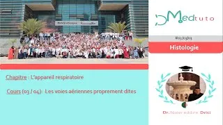 Miniature : #03 /03/03 | Histologie | L’Appareil Respiratoire | Les Voies Aériennes Proprement dites (3/4)