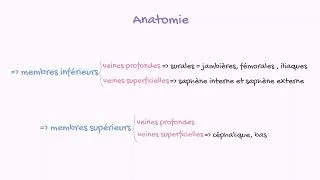 Miniature : Sémiologie veineuse périphérique : Maîtrisez l'examen clinique des veines !