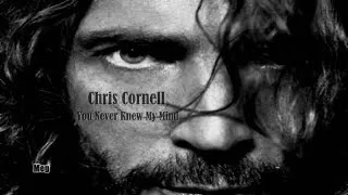 Miniature : Chris Cornell - You Never Knew My Mind