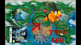 Miniature : Pokémon Noir 2 en MONOTYPE FEU !
