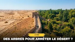 Miniature : La Grande Muraille verte de la Chine peut-elle empêcher l’expansion des déserts ?