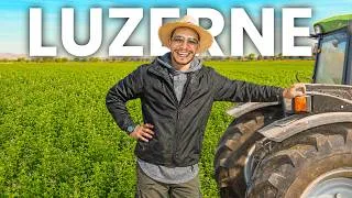 Miniature : La culture de fourrage au Maroc 