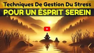 Miniature : Techniques de gestion du stress pour un esprit serein..