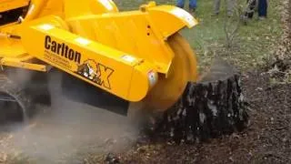 Miniature : La compilation la plus incroyable de suppression de souches d'arbres