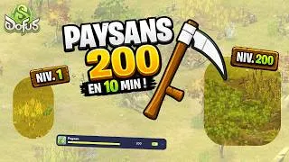 Miniature : Paysan 200 en 10 MINUTES sur Dofus !