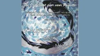 Miniature : 6. Franz Schubert - Die Schöle Müllerin : Der Leiermann