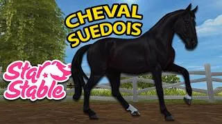 Miniature : ACHAT DU CHEVAL DE SELLE SUÉDOIS | Star Stable - SSO